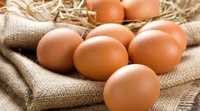 Фермерское яйцо, С0 60-67гр 360шт