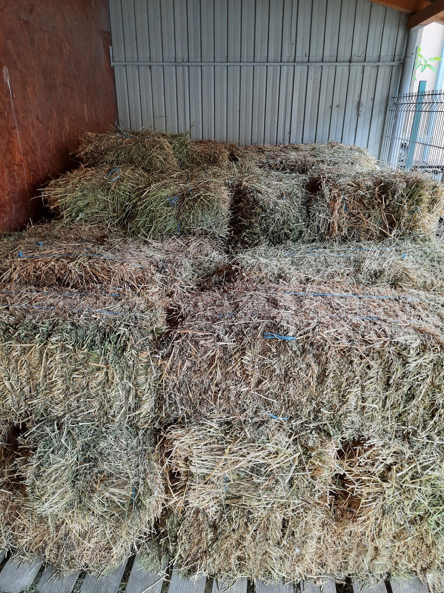 Baloti de lucernă a doua coasă 30 lei
