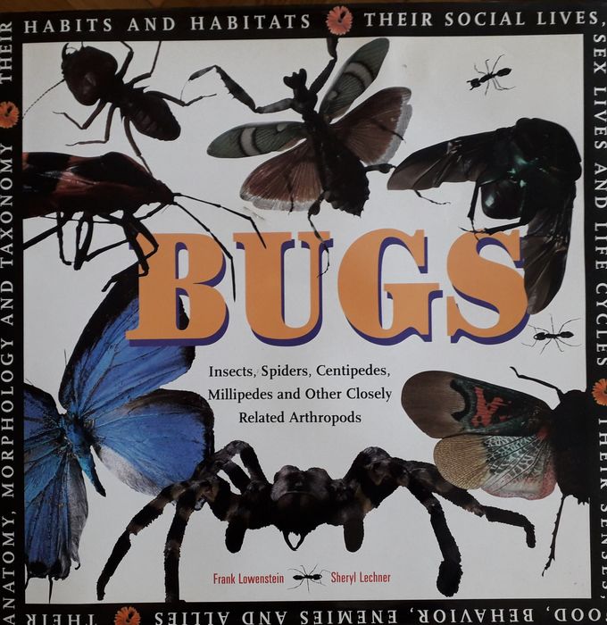Album "Insecte", in limba engleza. Publicat in SUA