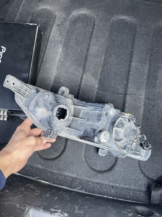 Жентра туманка. Gentra tumanka. Jentra tumanka