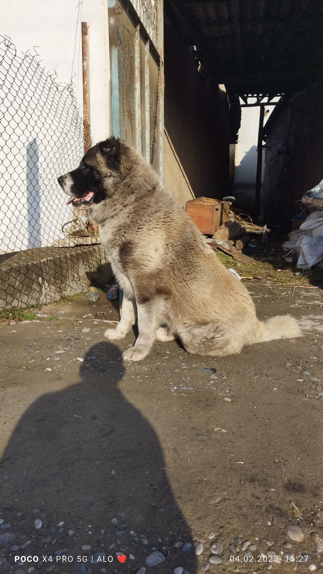 Zoti toz 40 kunligidan ozim katta qilganman