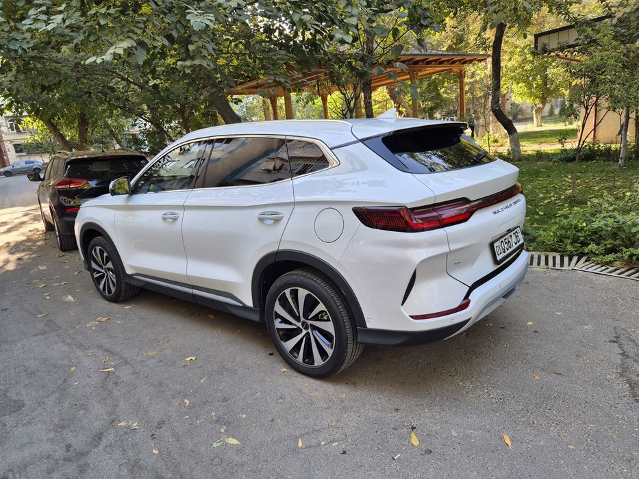 2024 byd chenpiyon  toza