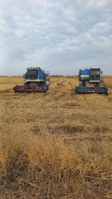 Енисей канбайинлар сотилади