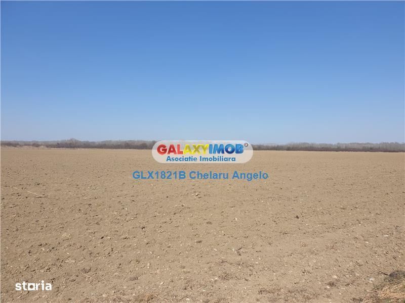 Teren 82 Ha, Potigrafu-Fanari, Prahova, DN1, toate utilitatile