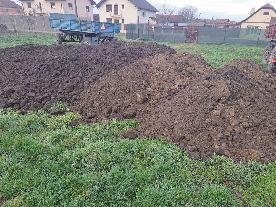 Pamant vegetal curat și mraniță