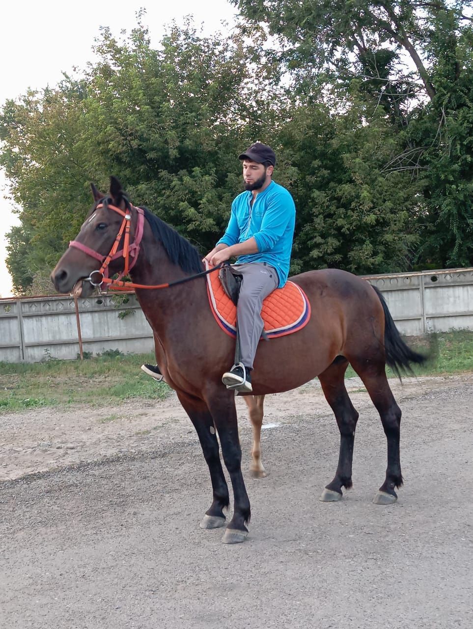 Гарантия на всегда