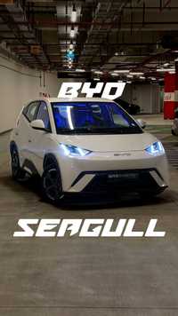 BYD SEAGULL 405km full 2024