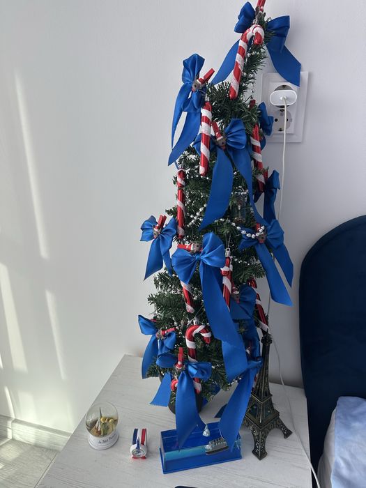 Новогодишни чинии, всичко 25 лв