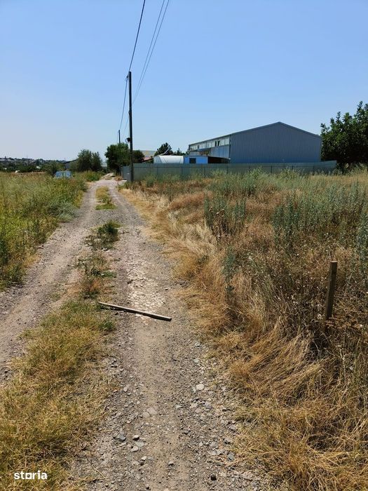 Vand 566mp intravilan Filesti -29euro/mp