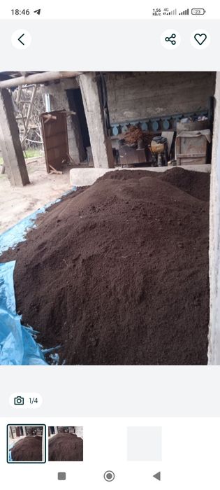 Bio gomus sifatli