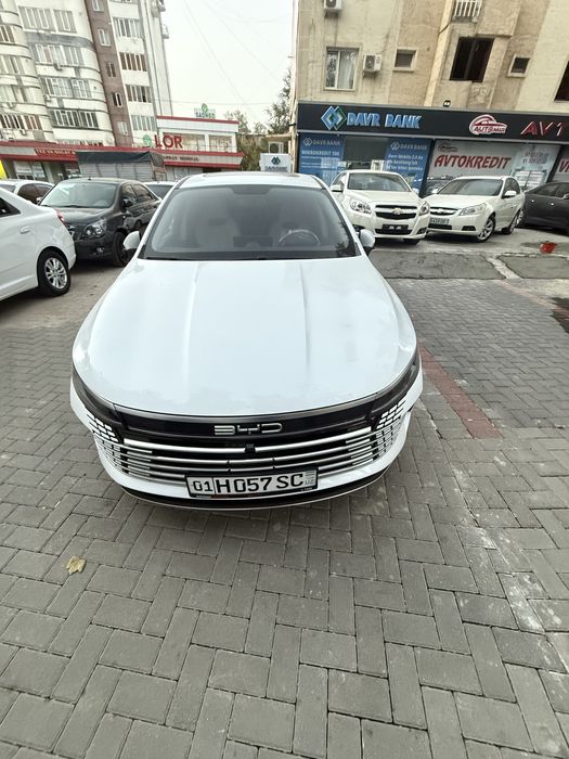 Byd Chazor 2024