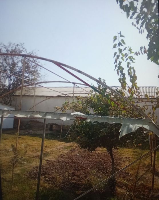 Parnik 1sotx sotiladi