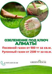 Посевной и рулонный газон под ключ !Самые низкие цены по городу Алматы