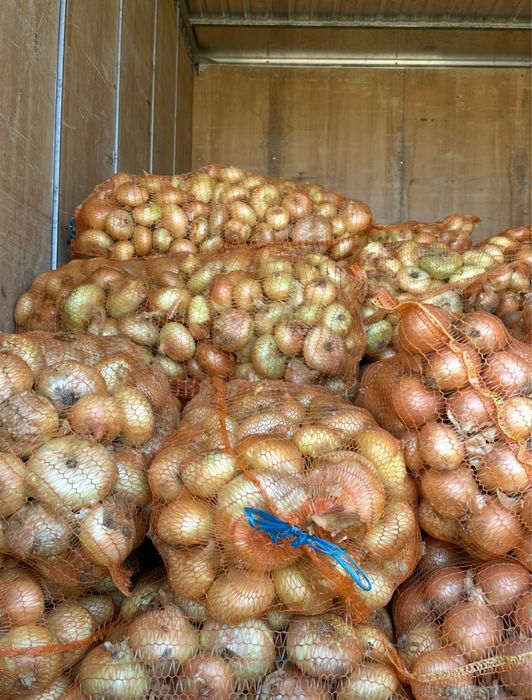 Ceapă galbenă – Calitate superioara engros