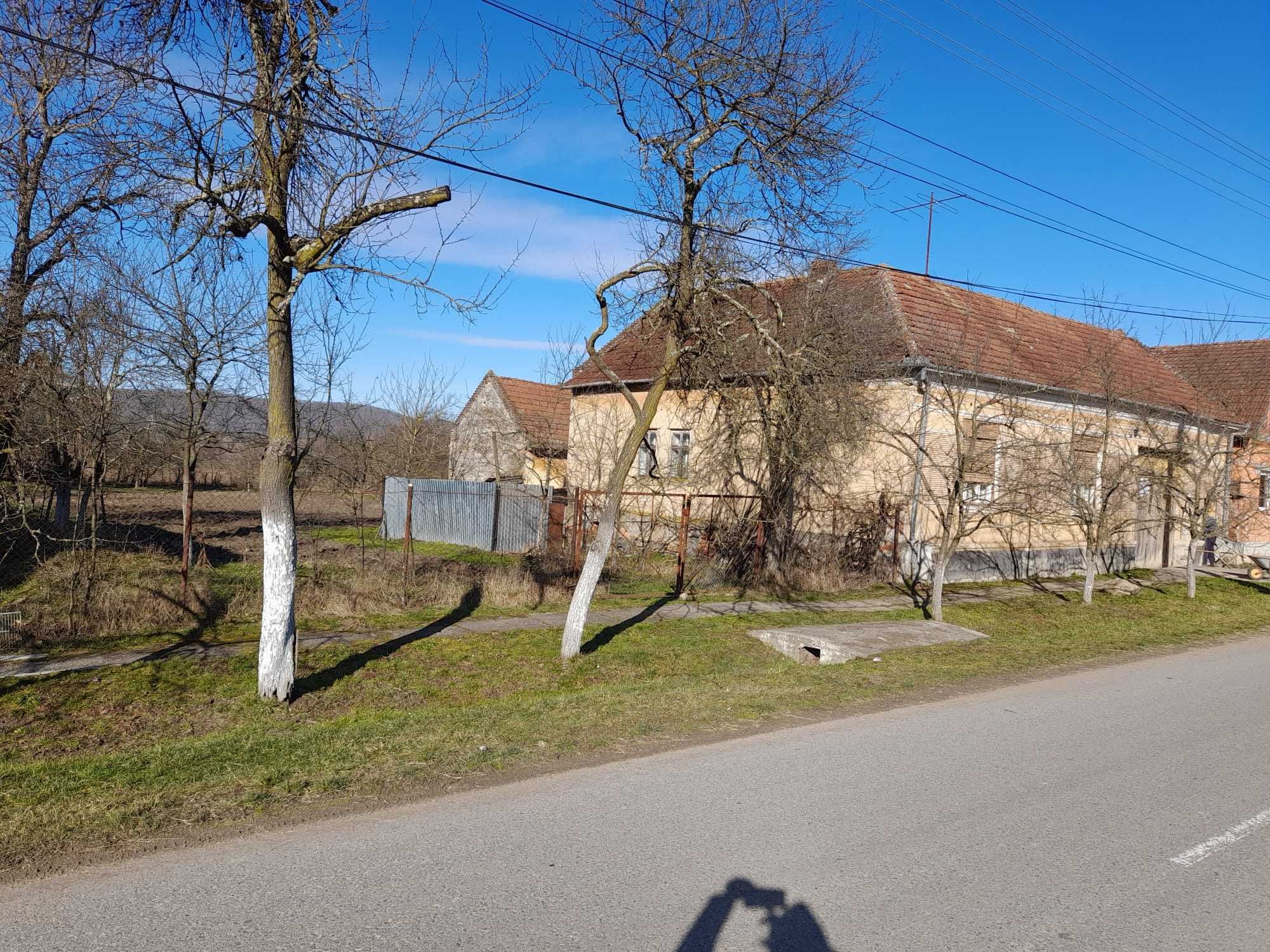 Vand casa, in Belotint, cu teren 2400 mp