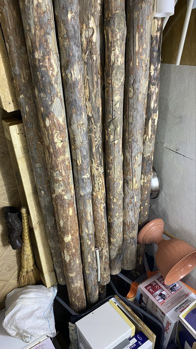 Чистые Кругляки длина 3.50