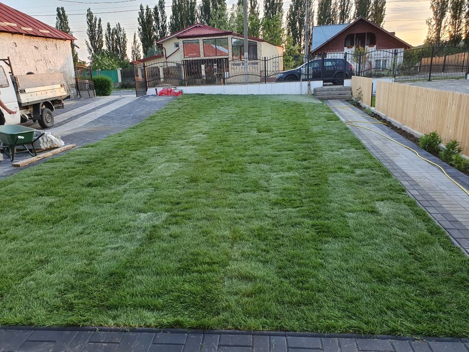 Amenajari gradini gazon rulou  și plante ornamentale