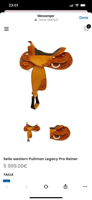 Sa de calarie PULLMAN