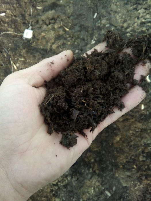 Mranita gunoi de grajd