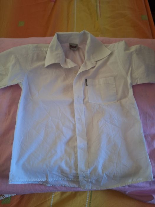 Ризи с къс и дълъг ръкав