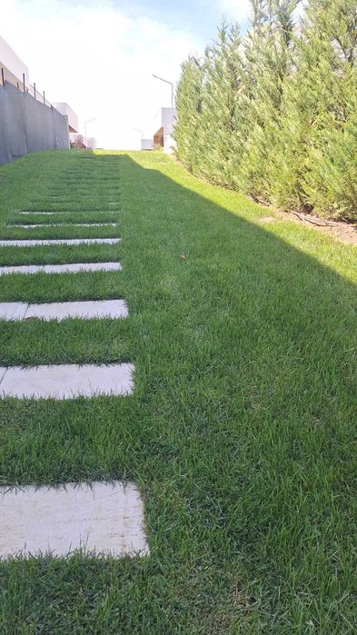 Garden Elen | Gazon Rulou & Semințe + Pregătire & Întreținere