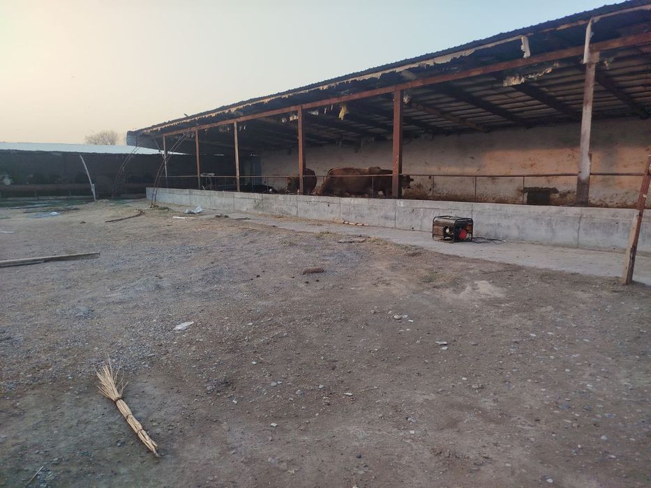 Ишлаб турган ферма сотилади