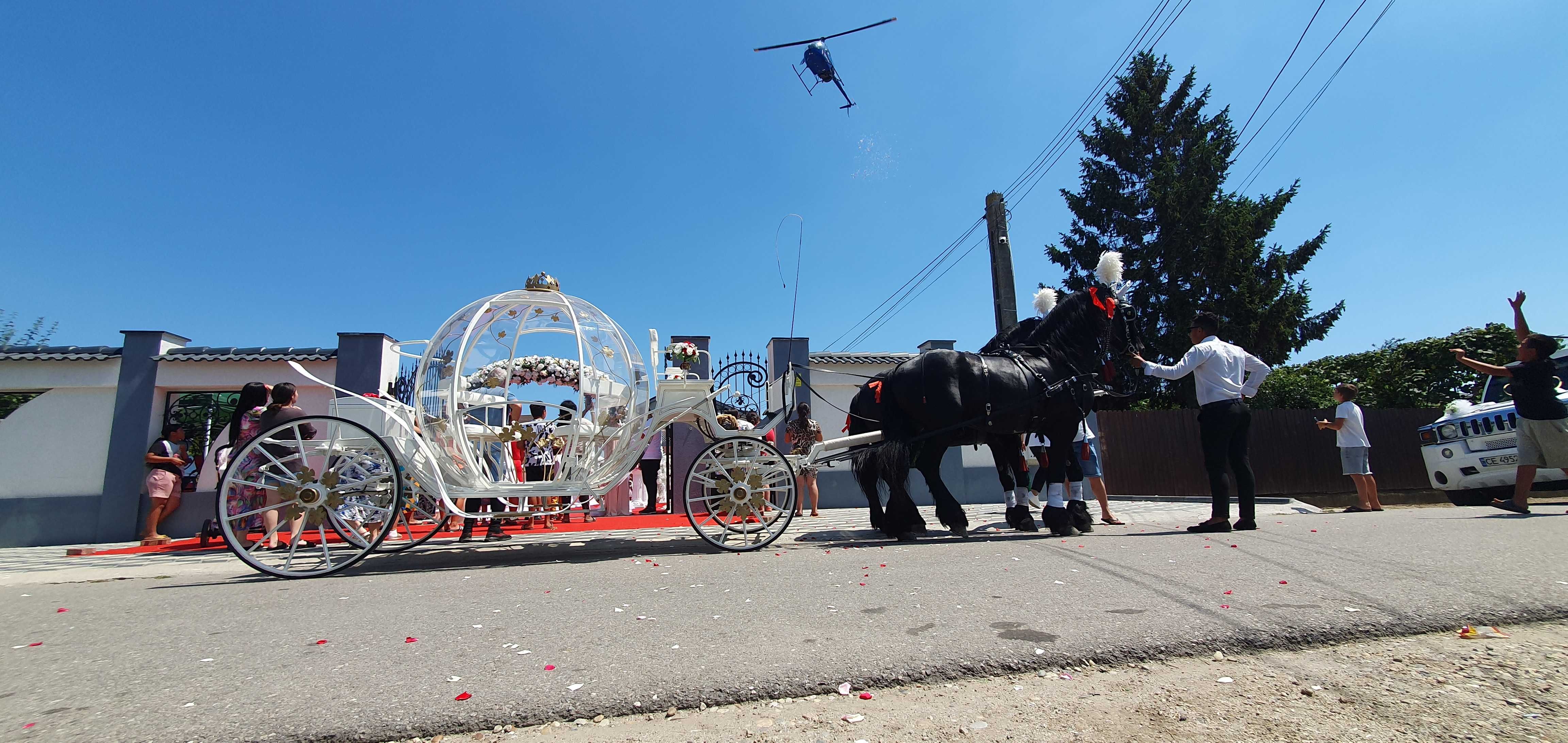 Plimbari cu caleasca, trasura pentru nunti si evenimente