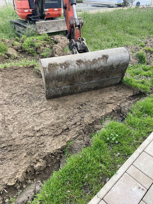 Amenajari curti si gradini