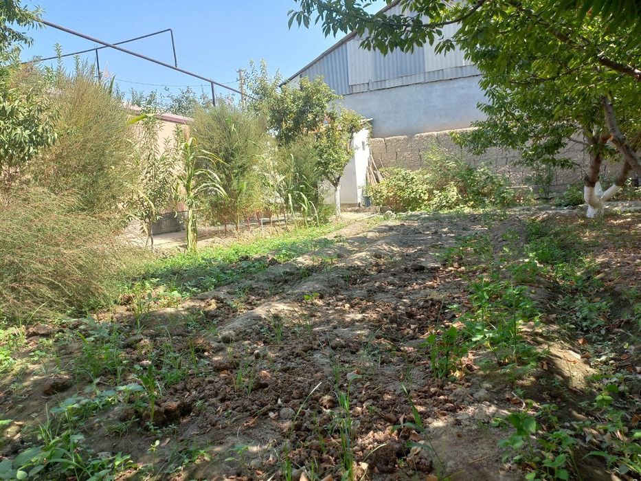 Киргули Табассум 5 Сотихлик Ер,Чек Атрофи уралган