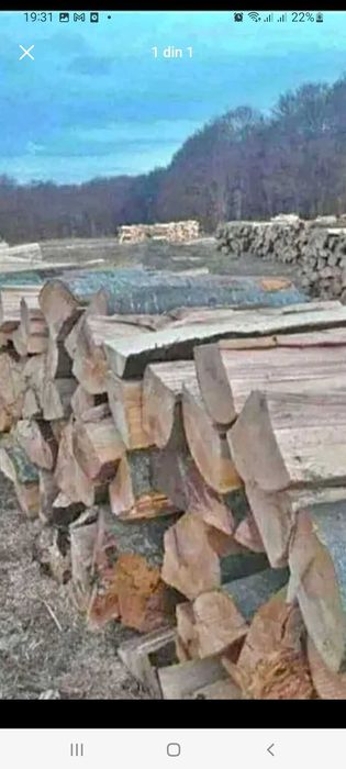 Lemne de foc esenta tare