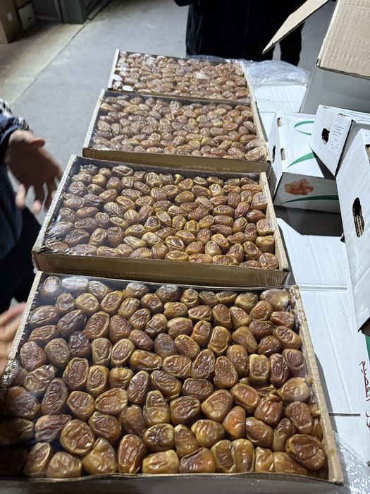 Суккари рутоб оптом и в розницу