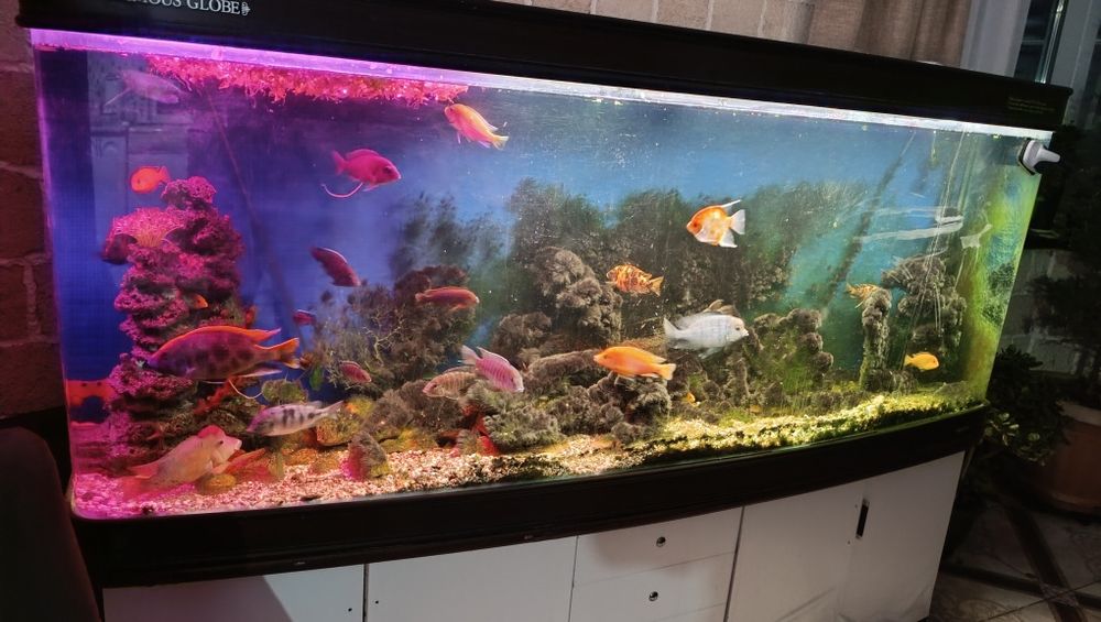 Аквариум 1000 литров акварим