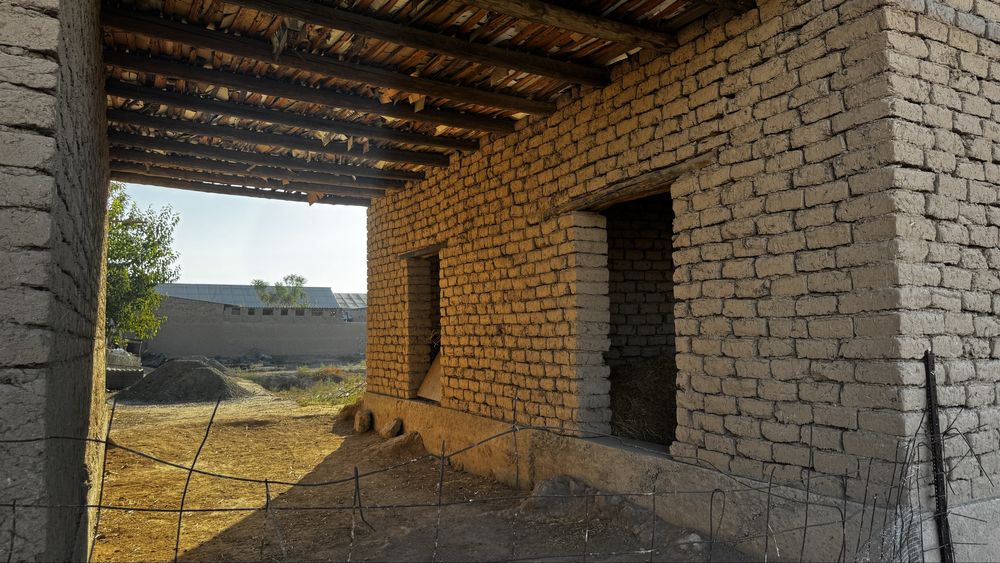 Участка сотилади ( аэропротда, хавоси тоза ва тинч жойда )