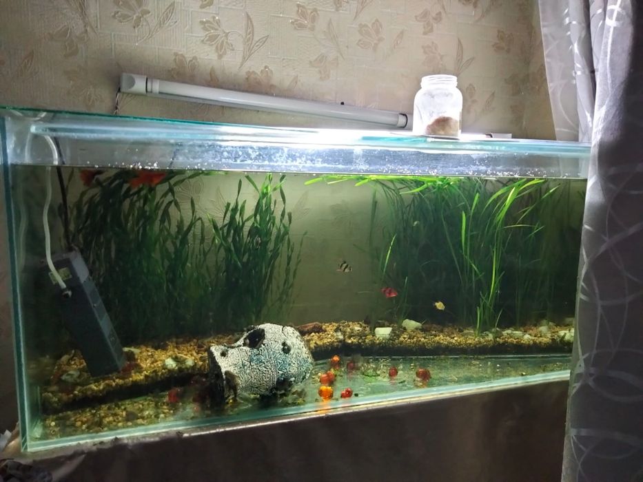 Продаю аквариум с рыбками