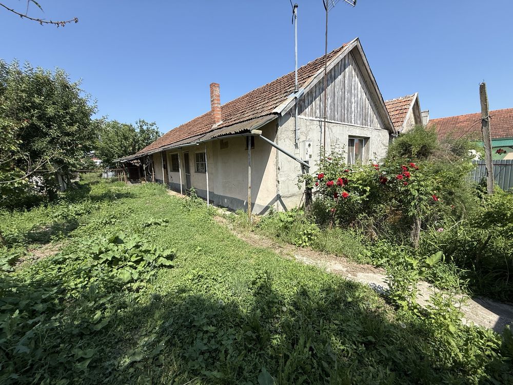 Casa + teren intravilan 1995mp in Salard