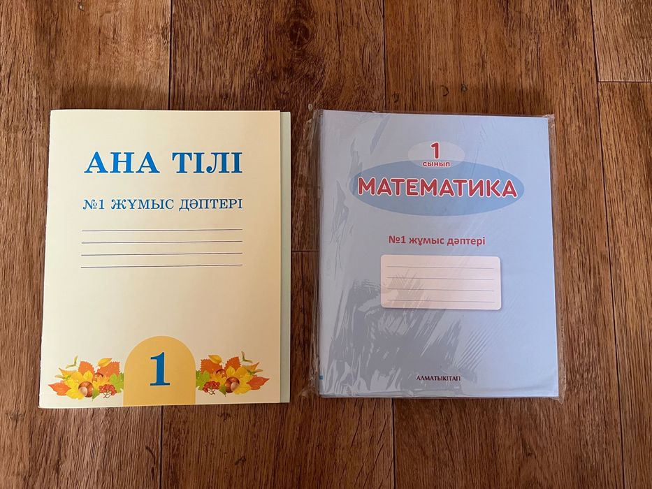 1 сынып жұмыс дәптер математика, ана тілі