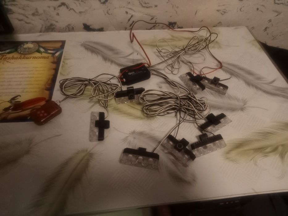 Serena migalka holati idial