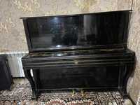 Pianino (Беларусь)