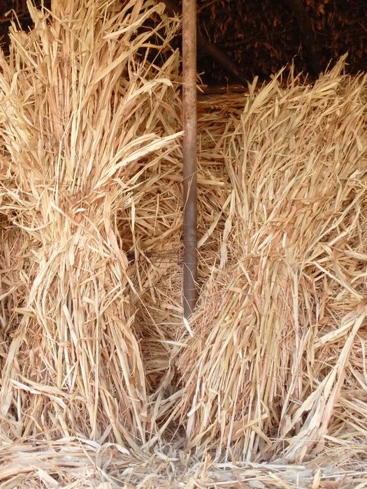 Mollar uchun sifatli barra boĝlik poya va poya preslar