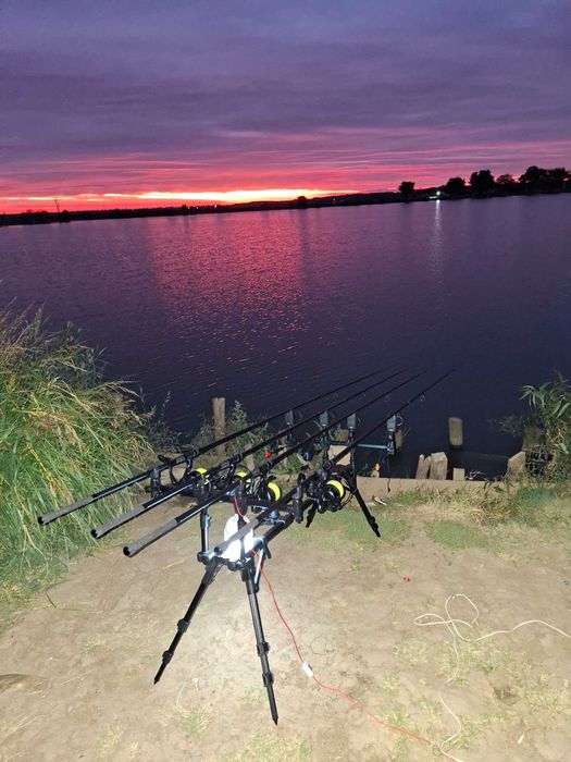 Rod Pod Carp Expert Neo Giant! NOU