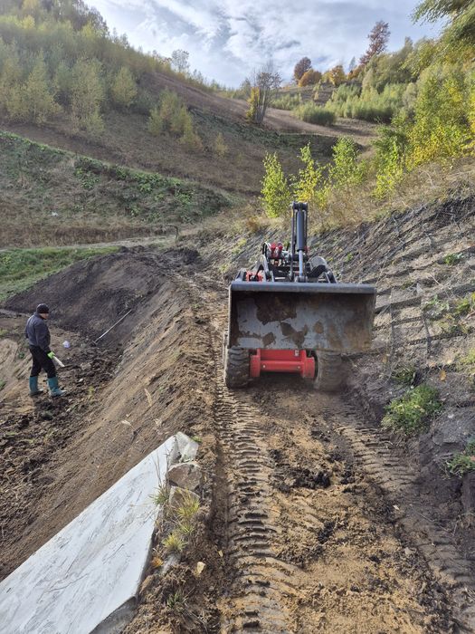 Incarcator frontal / escavator frontal/Betoniera Briggs&Stratton