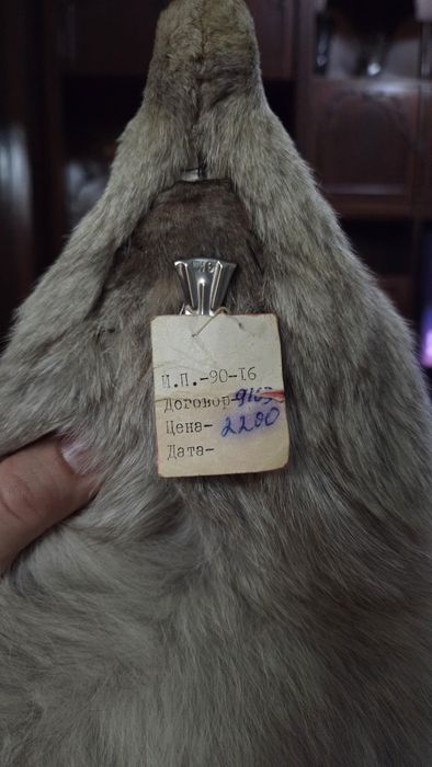 Vand vulpe argntie polara noua cu eticheta