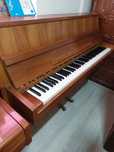Pianina Rippen ( transport gratuit, garanție)