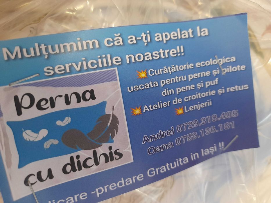 Perne Noi (Puf si pana de Gasca)