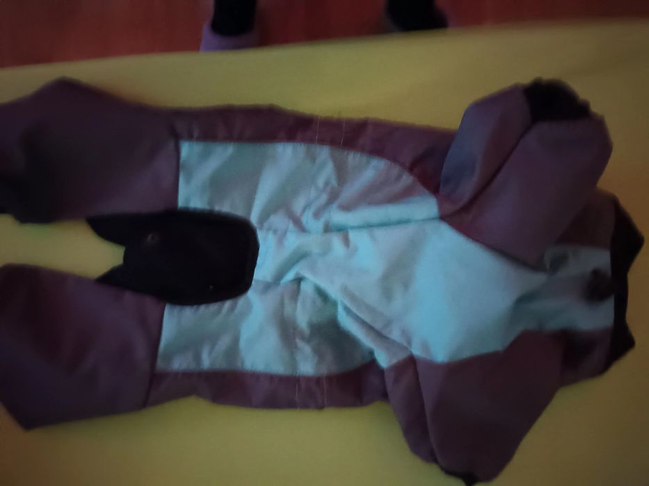 Haine pentru căței talie mică