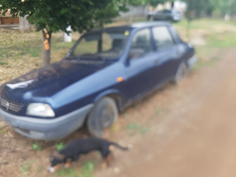 Dacia 1310  an 2003