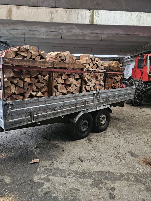 Lemn de foc esenta fag!