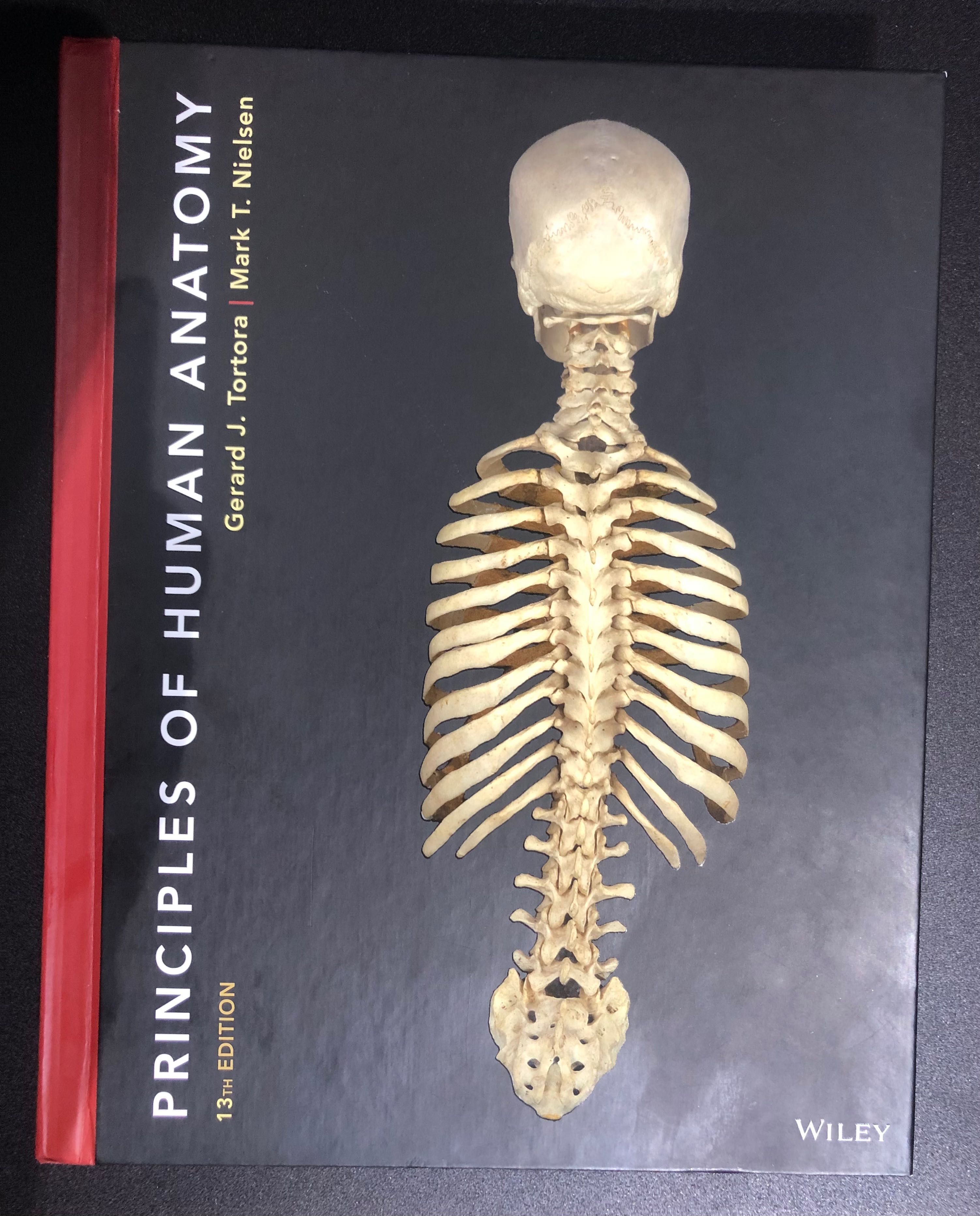 Книга Principles of Human Anatomy 13 издание