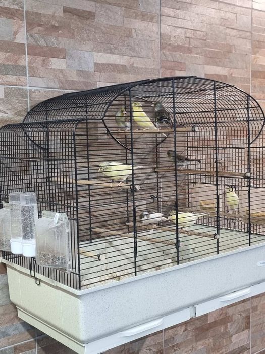 Продавам обучени хибриди