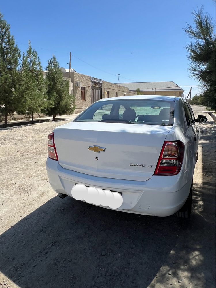 Cobalt 2019 Metan